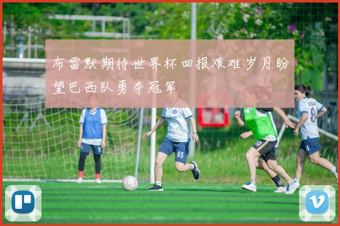 布雷默期待世界杯回报艰难岁月盼望巴西队勇夺冠军