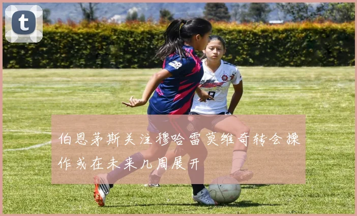 伯恩茅斯关注穆哈雷莫维奇转会操作或在未来几周展开